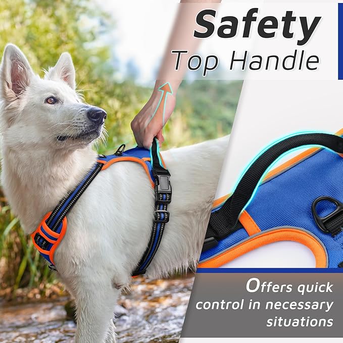 Eagloo Dog Harness Small Sized Dog, No Pull Service Vest with Reflective Strips and Control Handle, Adjustable and Comfortable for Walking, No Choke Pet Harness with 2 Metal Rings, Blue & Orange, S