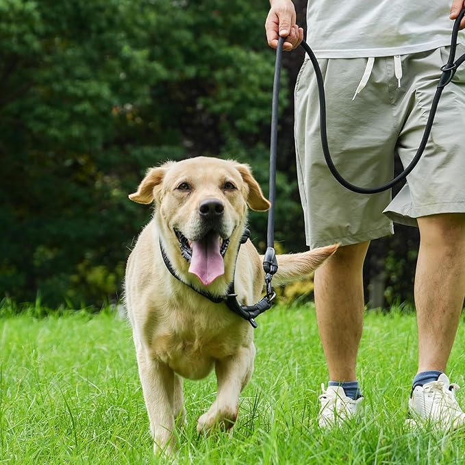 Rope Dog Leash with Two Handles, 6 Foot Heavy Duty Dog Leash with Aviation Aluminum Auto Locking Carabiner, Strong Nylon Pet Lead for Small, Medium, Large Dogs (Blue, 6FT-Two Handle)