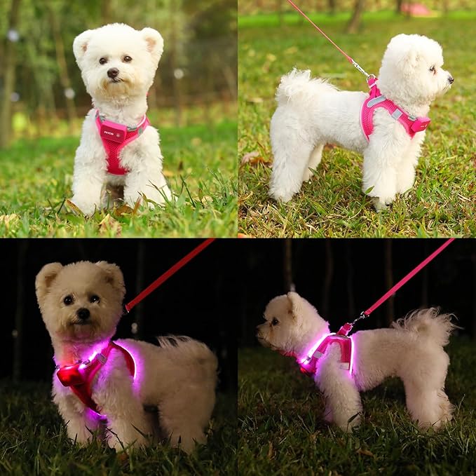 Light Up Dog Harness,Rechargeable LED Dog Harness for Small Medium Large Dogs,Reflective Lighted Safety Vest for Night Walking & Camping,Lightweight & Adjustable,Pink,M
