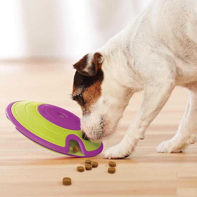 Outward Hound by Nina Ottosson Dog Treat Maze Dog Puzzle Enrichment Toy, Level 2 Intermediate, Green