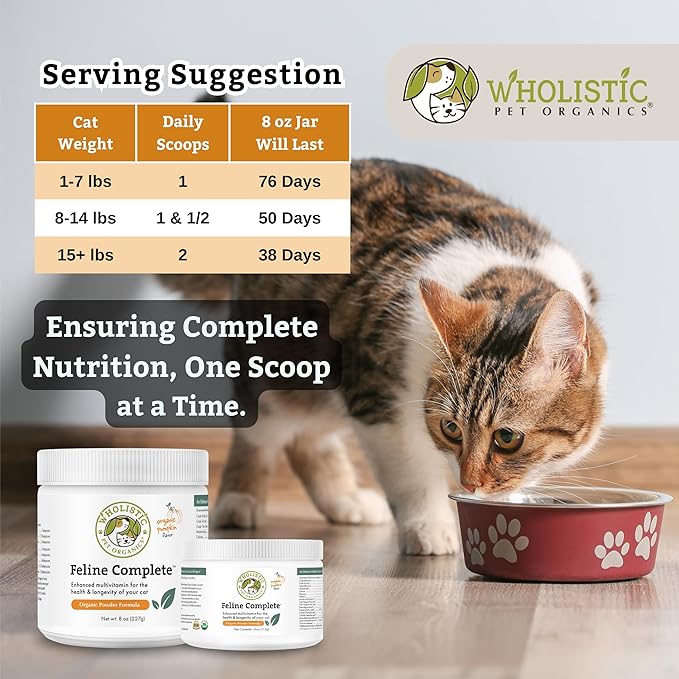 Wholistic Pet Organics Feline Complete Organic Pumpkin - 8 Oz - Multivitamin & Probiotic Powder for Cats - Natural Cat Food & Digestive Support