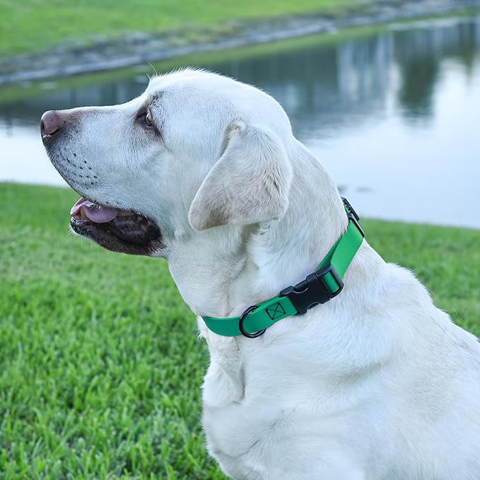 Dogline Biothane Waterproof Dog Collar with Quick Release Buckle Strong Coated Nylon Webbing with Odor- Proof for Easy Care Easy to Clean Fits Small Medium or Large Dogs, Teal 3/4" W 12-19" L