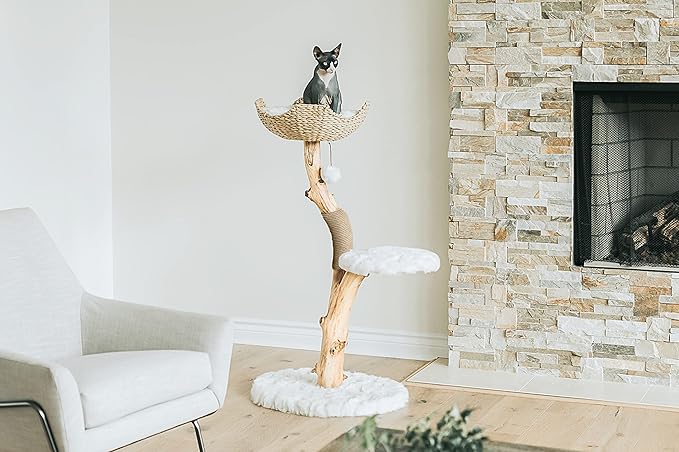 Wooden Cat Climbing Tree Tower, Modern Single Branch Cat Condo, Wood, Cat Lover Furniture Gift by MAU LIFESTYLE (Alpine White)
