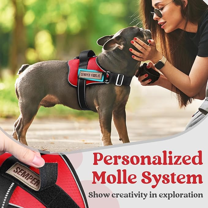 rabbitgoo Dog Harness for Small, Easy On Pet Vest with One Buckle, No Pull Adjustable Service Harness with D-Ring & Handle, Reflective for Safety Walking, Training, Red, S