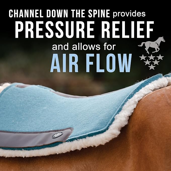 Professional's Choice 100% Steam-Pressed Wool Felt Saddle pad