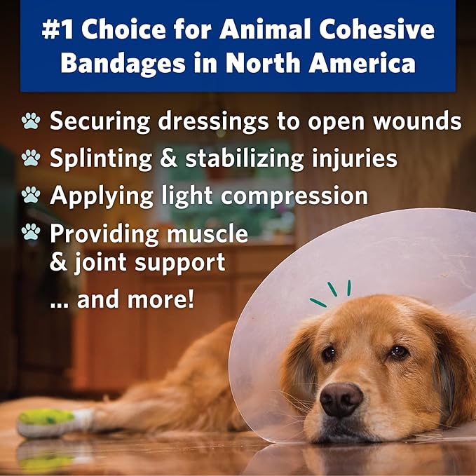 PetFlex Pet Pack – Flexible Self-Adhering Elastic Bandage for Wound Care – First Aid Wrap for Small Animals Like Dogs, Cats, and Other Pets - 2 inch, 6 Rolls