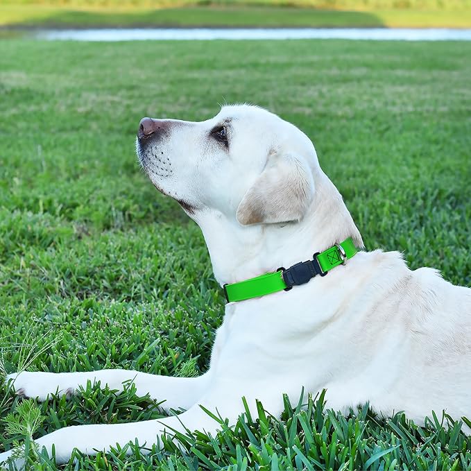 Dogline Biothane Waterproof Dog Collar with Herm Sprenger Black Stainless Steel Quick Release Buckle – Heavy Duty Tactical Durable Collar for Dogs – Comfortable and Safe Pet Collar W 1" L 15-25" Green