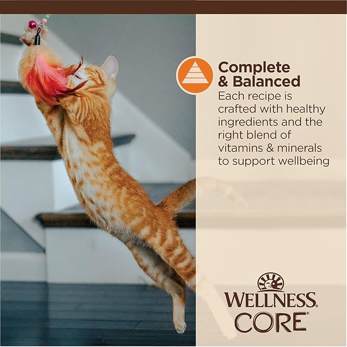 Wellness CORE Tiny Tasters Minced Adult Wet Cat Food, Natural, Protein-Rich, Grain Free, 1.75-Ounce Pouch, 12 Pack, (Chicken)