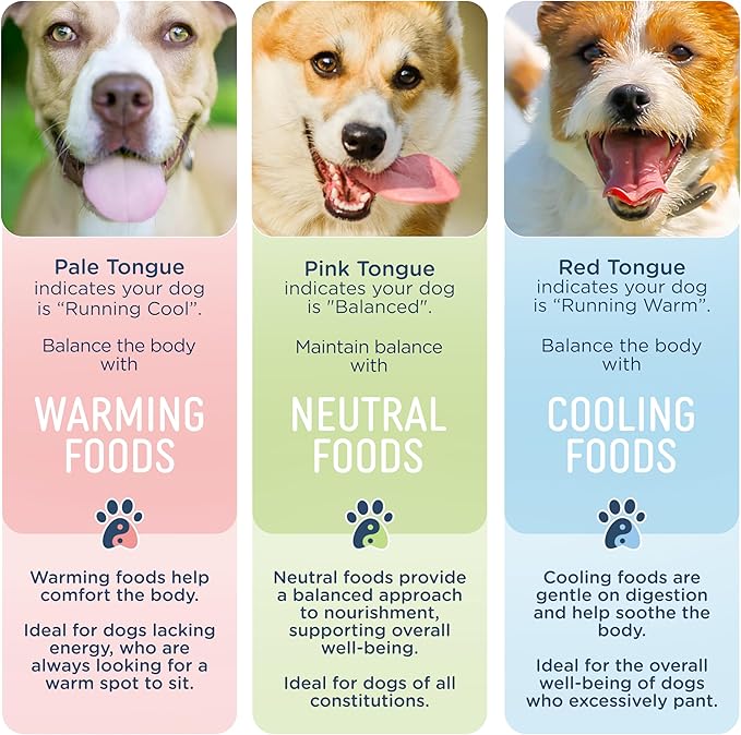 Side by Side Beef & Salmon Stew, Neutral Dog Food for All Breeds, Made of Whole Foods, Every Ingredient Has a Purpose, No Artificial Additives, Fillers, or Gums, Ready to Serve, 12.5 oz, Case of 12