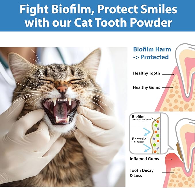 Cat Dental Care Powder Bad Breath Treatment for Cats Teeth, Mouth, Gums & Gut, Plaque Off,Tartar Control, Help Feline Gingivitis and Stomatitis, with Natural Extracts & Probiotics