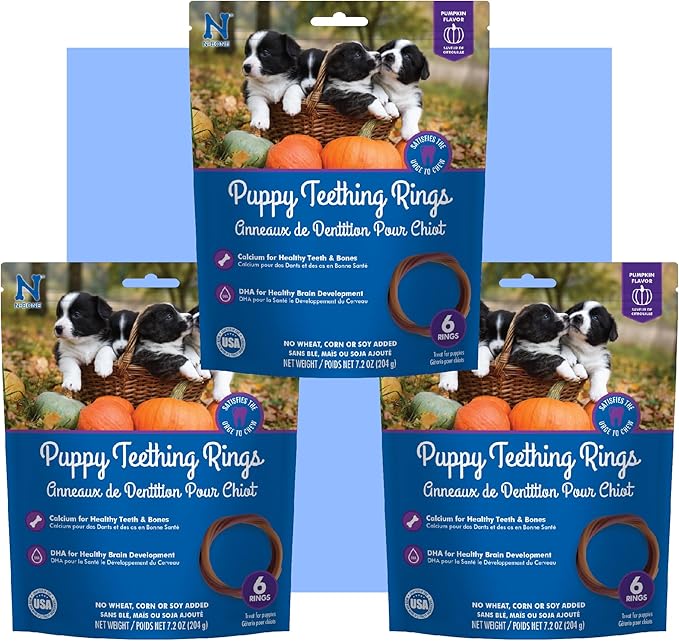 N-Bone Puppy Teething Rings Pumpkin Flavor 6 Count Bag Multi Pack, Total 3 Bags, 21.6-oz (18 Rings)