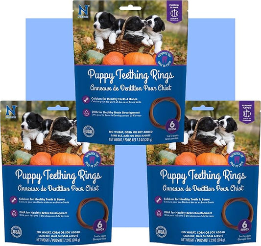 N-Bone Puppy Teething Rings Pumpkin Flavor 6 Count Bag Multi Pack, Total 3 Bags, 21.6-oz (18 Rings)
