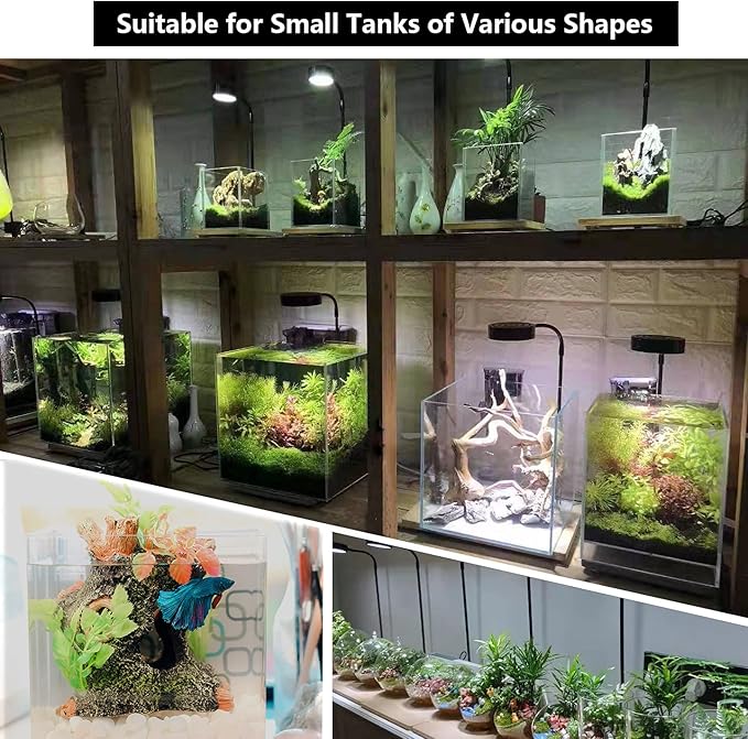 Aquarium Light Full Spectrum LED, for Under 3 Gallon Fish Tank, Light with Timer Auto On/Off, Betta Fish Tank,Indoor Plant Growth, Potted Plants, Succulent, Miniature Gardening Landscape (5)