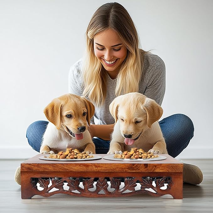 Elevated Pet Feeder for Dogs and Cats - Scroll Carved Wood Raised Dog Bowl Stand - Pet Feeding Stand with Two Steel Bowls - Raised Dog Bowl for Food and Water - Pet Feeding Station -17x11x4- IRONGATE
