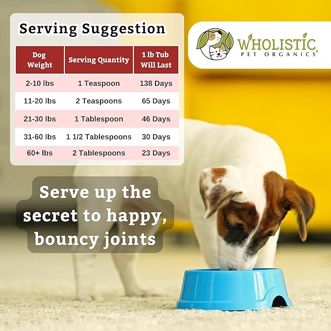 Wholistic Pet Organics Joint Mobility GLM - 1 Lb - Glucosamine for Dogs Chondroitin Supplement Green Lipped Mussels - Joint Supplement for Dogs - Arthritis Pain Reliever for Large & Small Breeds