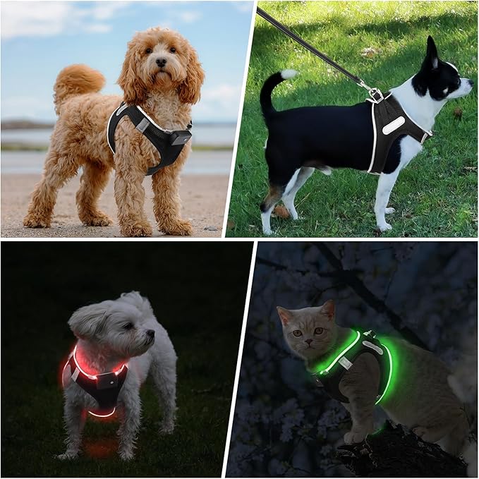 PceoTllar Light Up Dog Harness, LED No Pull Reflective Dog Harness, Flashing Lighted for Night Walking - Small/Medium, (Black Red,xs)
