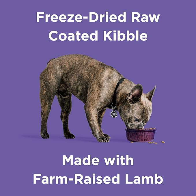 BIXBI Rawbble Dry Dog Food, Lamb, 24 lbs - USA Made with Fresh Meat - No Meat Meal & No Corn, Soy or Wheat - Freeze Dried Raw Coated Dog Food - Minimally Processed for Superior Digestibility
