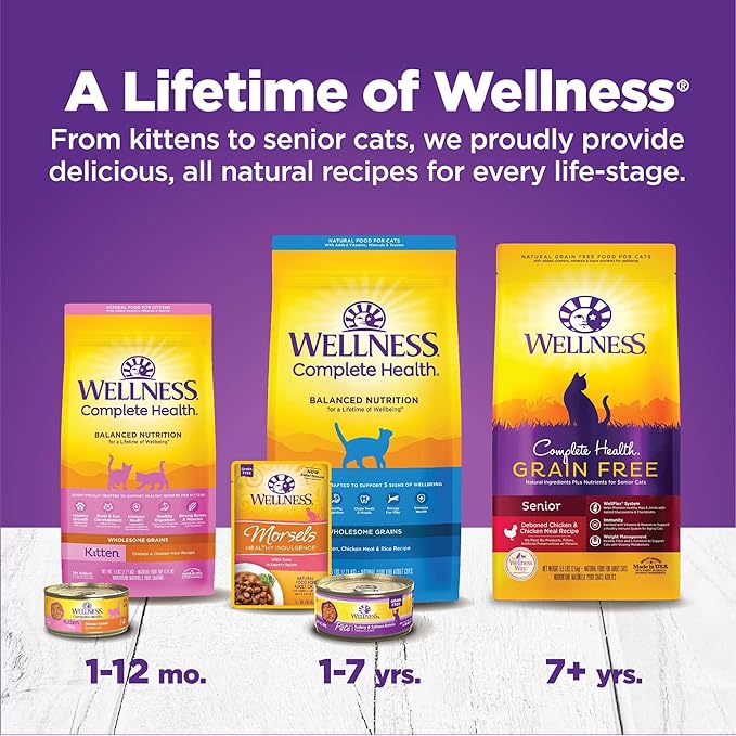 Wellness Complete Health Chicken & Turkey Pate Favorites Variety Pack, 5.5 Ounces Can (Pack of 12)