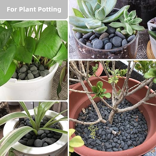 18lb Small Smooth River Rocks Pebbles for Plants & Succulents, Decorative Outdoor Landscaping Garden Rocks, Natural Mexican Beach Pebbles, Gravel for Aquarium, Fish Tanks, Vase and Yard Decor