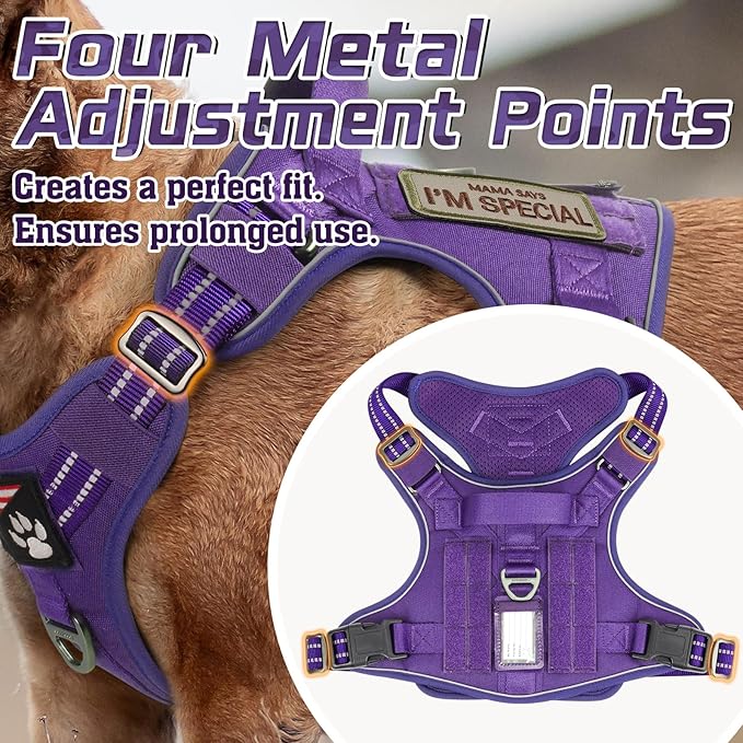 rabbitgoo Tactical Dog Harness for Large Dogs, No Pull Military Service Vest with Handle & Molle, Easy Control for Training Walking, Adjustable Reflective Straps, Purple, L