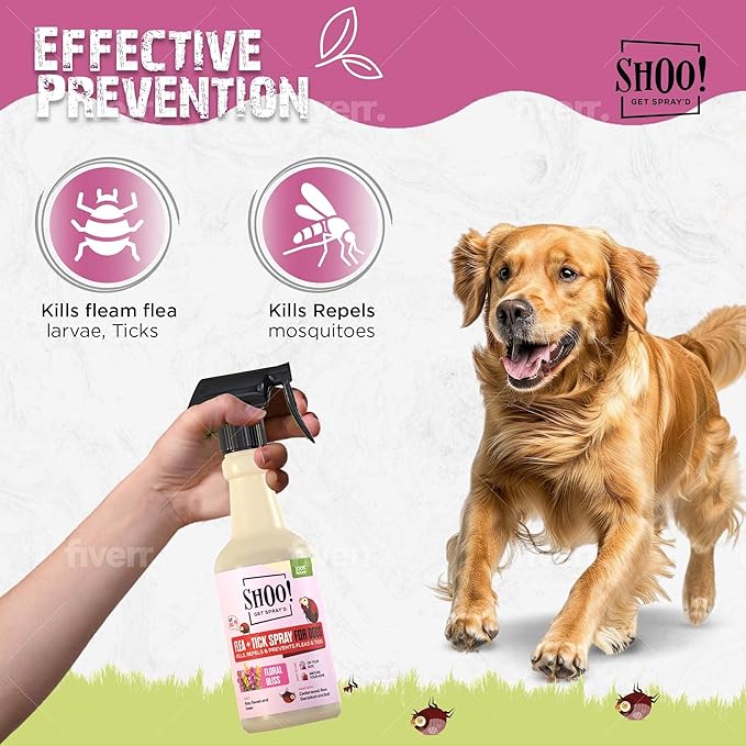 Shoo! Flea & Tick Spray for Dogs and Home | Plant Based, Natural Oils, Chemical Free Formula | Kills, Repels, Prevents | 16 oz (Floral Bliss)