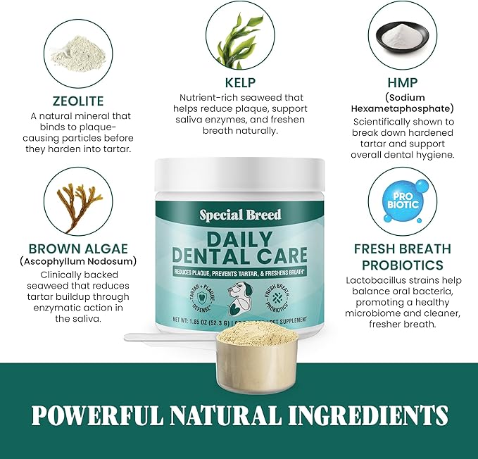 Dog Teeth Cleaning Powder – Natural Dog Dental Powder for Tartar Control, Fresh Breath & Gum Health – Daily Plaque Remover with Zeolite, Brown Algae, Probiotics & Rosemary – 90 Scoops