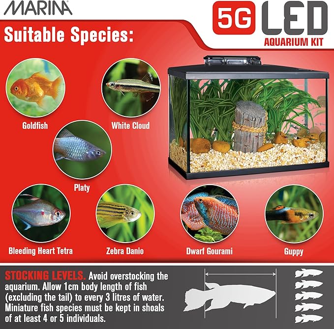Marina 5 Gallon (19 L) LED Aquarium Kit – Ideal for Beginner Aquarists and New Fish-Keepers