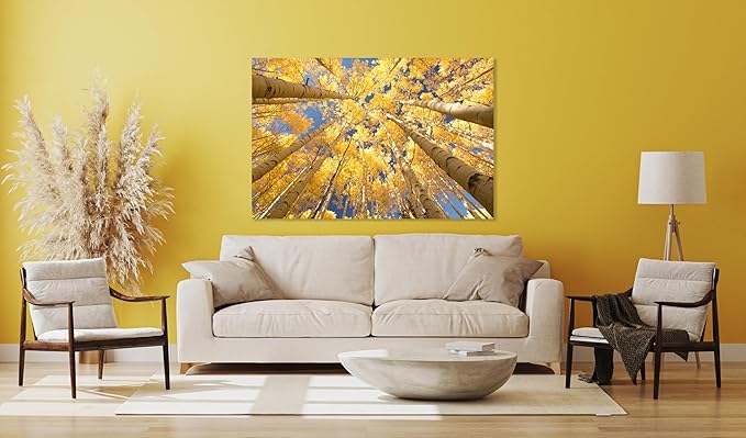 Nature Wall Art Prints - Ocean Forest Mountain Lake Canvas Landscapes - Small to Extra Large Living Room Bedroom Kitchen Bathroom Décor (Reaching for the Sky, 31L" x 47W")
