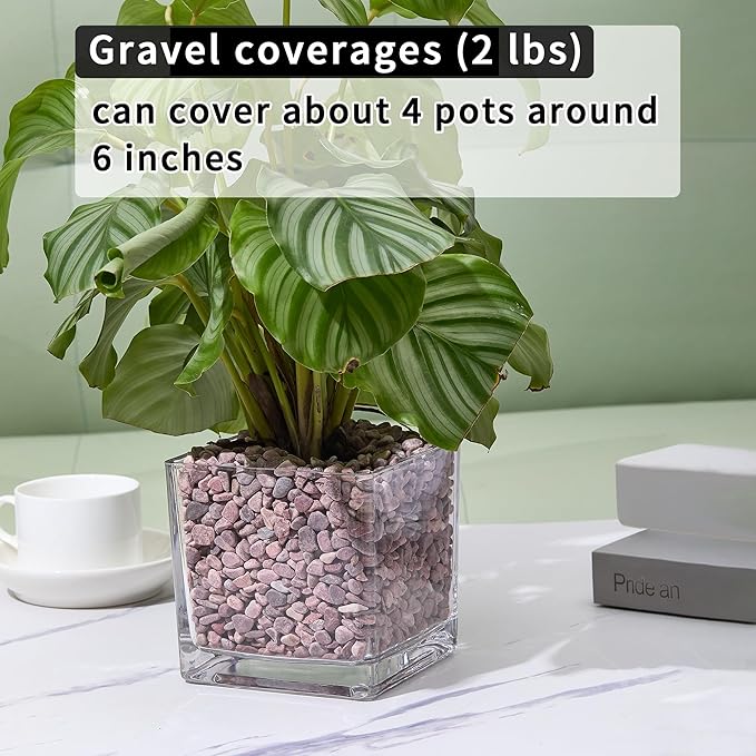 2lb Succulent and Cactus Gravel Pebbles 1/5-3/8 Inch Natural Decorative Polished Stones River Rocks for Plants, Vases, Aquariums, Terrarium and Outdoor Gardening, Rouge Red Color