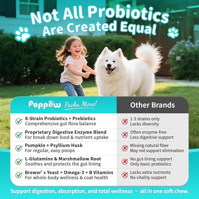 Probiotics for Dogs, Digestive Enzymes for Gut Health Support, Dog Fiber Supplement with Pumpkin for Diarrhea & Bowel Support, Upset Stomach & Gas Relief, Constipation - 90 Count Beef Flavor