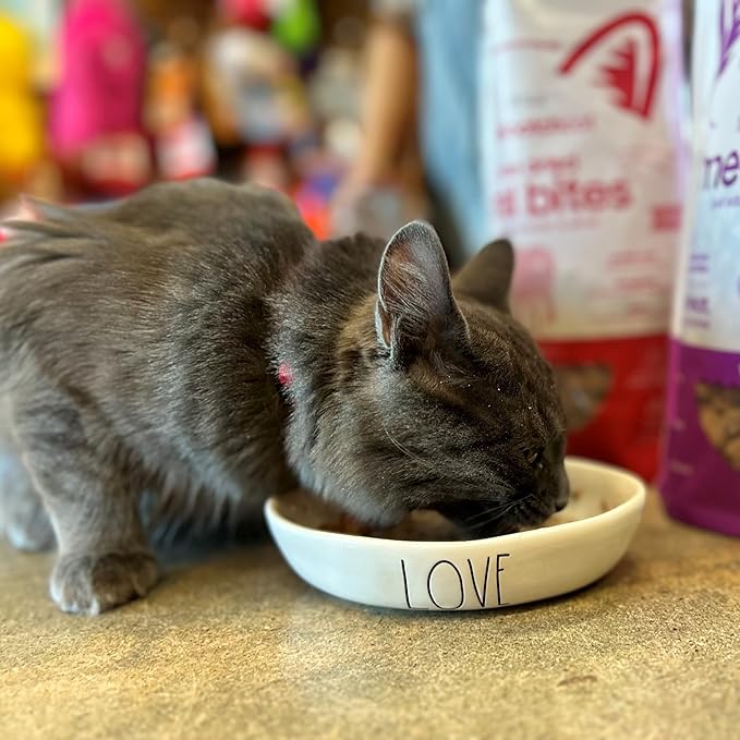 smallbatch Pets Freeze Dried Cat Treats, Raw Dry Cat Food Bites, Beef Recipe, High Protein Food Topper or Training Treats for Cats, Humanely Sourced Meat, Made in The USA, Non GMO, 10 oz Bag