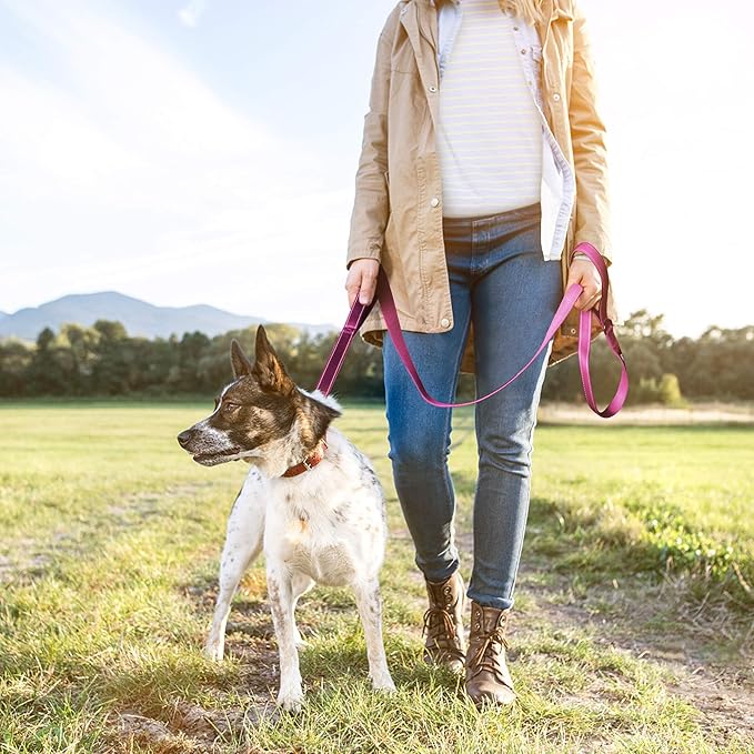 TwoEar 4FT 1IN Strong Rose Dog Leash with 2 Padded Handles, Traffic Handle Extra Control, Comfortable Soft Dual Handle, Auto Lock Hook, Reflective Walking Lead for Small Medium and Large Dogs