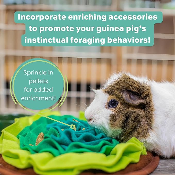 Oxbow Essentials Guinea Pig Food, Adult Guinea Pig, Made with Oxbow Timothy Hay, Pet Food Pellets with Vitamin C, Small Animal Pet Products, Made in USA, High Fiber, 10 lb. bag