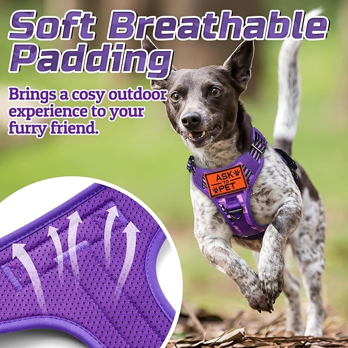 rabbitgoo Tactical Dog Harness Medium Sized Dog, No Pull Military Service Vest with Handle & Molle, Easy Control for Training Walking, Adjustable Reflective Straps, Purple Camo, M