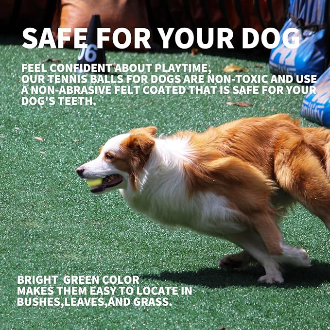 ALL FOR PAWS Interactive Super Bounce Tennis Balls Dog Toy, Pet Safe Toys for Exercise and Training, 2.5 Inch Diameter (6 Pack)