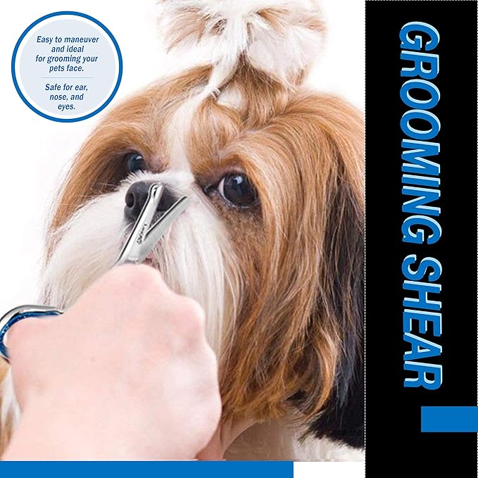 Laazar Straight Dog Grooming Scissors - Comfortable Around The Eyes Cat & Dog Scissors | Blunt Dog Trimming Scissors| Premium Stainless Steel | Grooming Scissors For Dogs - Dog Hair Scissors