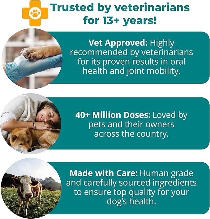 1TDC WorksSoWell Dual Action Joint Supplement for Dogs & Cats - Hip and Joint Supplement for Large Breed & Small Breed - Also Great for Oral Health - Muscle & Stamina Recovery & Arthritis - 30ct