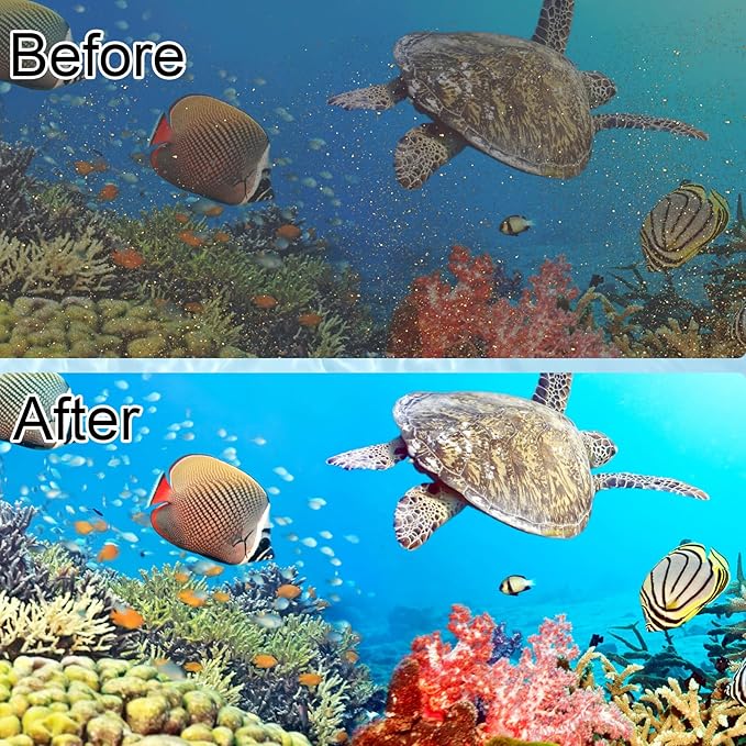 6 Pack Filter Cartridge Compatible with Whisper Bio-Bag Filters 10i/IQ10/PF10, Medium Replacement Filter Cartridges for Aquariums Compatible with ReptoFilte 20 gallons (90 GPH)