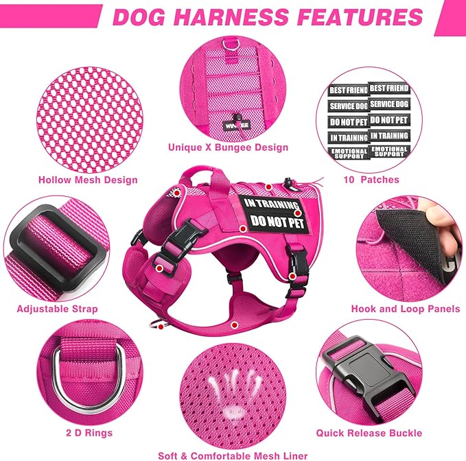 WINSEE Service Dog in Training Mesh Harness with 10 Pet Patches, Soft Air Mesh Breathable Tactical Dog Molle Vest, Reflective Military Pet Vest for Walking Hiking for Medium Dogs