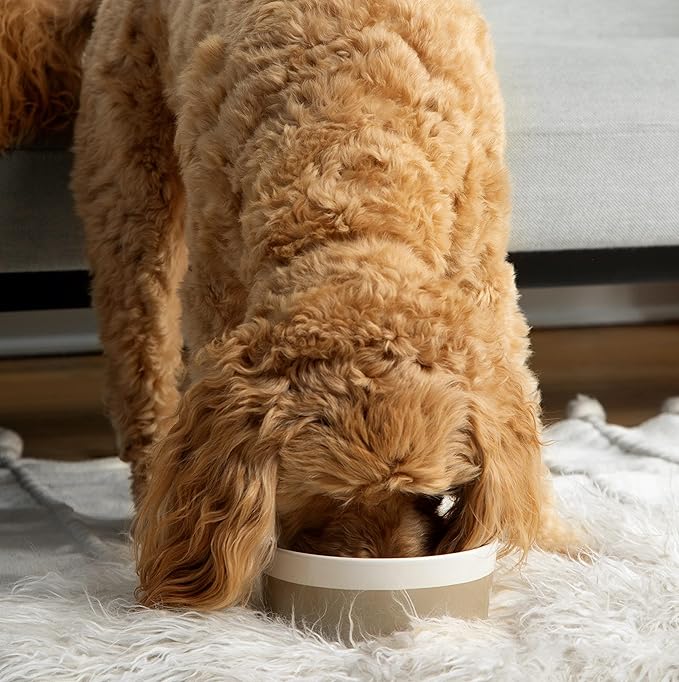 Waggo Dipper Ceramic Dog Bowl for Small and Large Breeds - Heavyweight and Durable Pet Food and Water Dish Crock, Dishwasher Safe, Modern (Black, Medium)