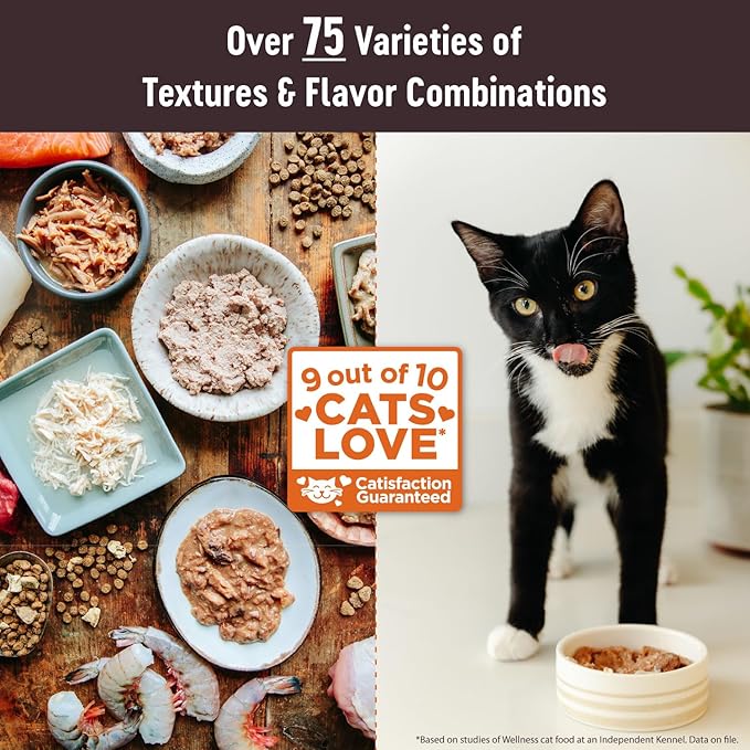 Wellness CORE Tiny Tasters Pate Adult Wet Cat Food, Natural, Protein-Rich, Grain Free, 1.75 Ounce Pouch, 12 Pack (Chicken & Beef)