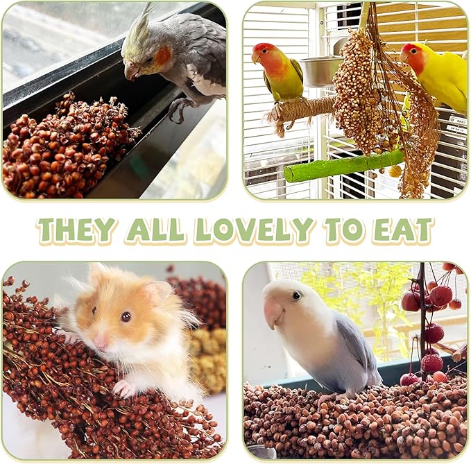 Fhiny Millet Spray for Birds, 3 PCS Natural Sun-Dried Red Sorghum Grain for Birds Seed Original Parrot Treats & Supplement Parakeet Food for Cockatiels Lovebirds Finches Budgies Pigeons Hamsters