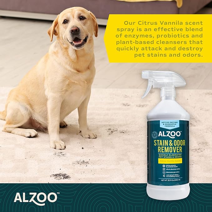 Stain & Odor Remover, Quickly Lifts & Dissolves Pet Stains & Helps Eliminate Odors, 100% Plant-Based Active Ingredients, Citrus Vanilla Scent, 32 Fl. Oz Spray Bottle