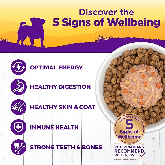 Wellness Petite Entrées Shredded Medley with Braised Lamb, Venison, White Sweet Potatoes & Carrots, 3-Ounce Cup (Pack of 12)