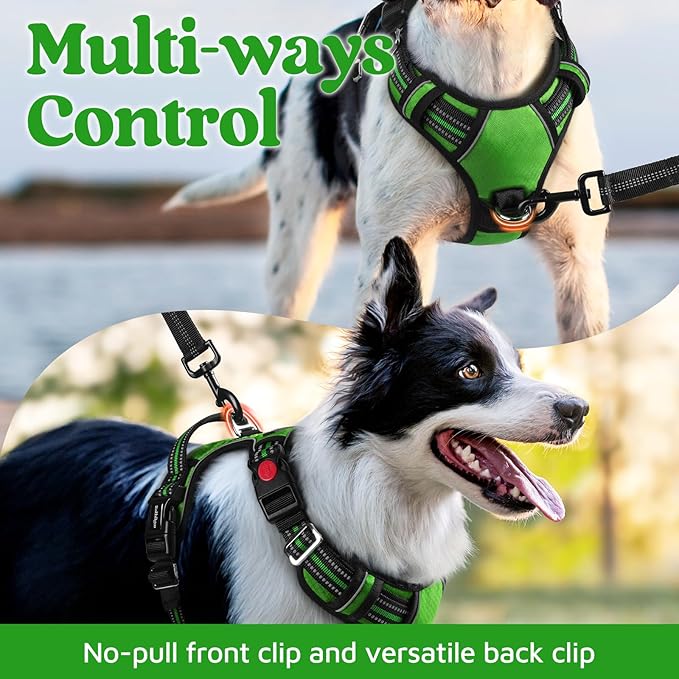 rabbitgoo Dog Harness for Large Dogs, No Pull Pet Vest with 3 Buckles, Adjustable Soft Padded Pet Harness with Easy Control Handle and Reflective Strips, Green, L