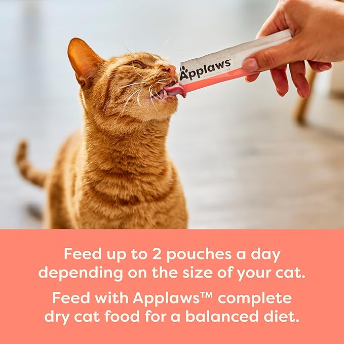 Applaws Lickable Cat Treats, Natural Grain-Free Purée, Limited Ingredient, Salmon Squeeze Up Cat Treats (60 x 0.5 oz Sachets)
