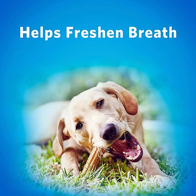 Purina Dentallife Daily Oral Care Dog Treats Large Chews - 7 Ct