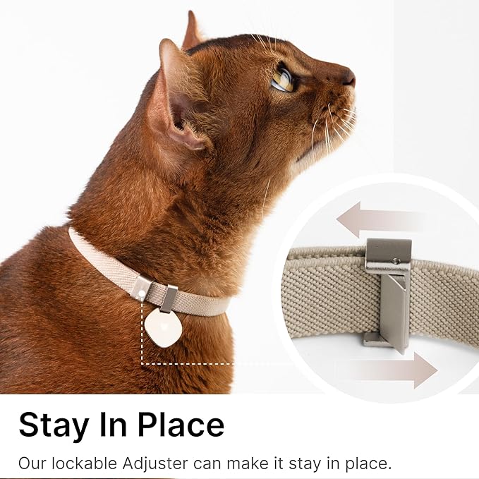 Safety Cat Collar Pro and Tag Set - U.S. IDA Gold Award, Elastic Release Cat Collar Charm Tag, Non Breakaway Cat Collar Adjustable with Charm for Kitten Small Large Cats (Monet Purple, M)