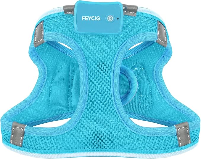 Light Up Dog Harness,Rechargeable LED Dog Harness for Small Medium Large Dogs,Reflective Lighted Safety Vest for Night Walking & Camping,Lightweight & Adjustable,Blue,XS