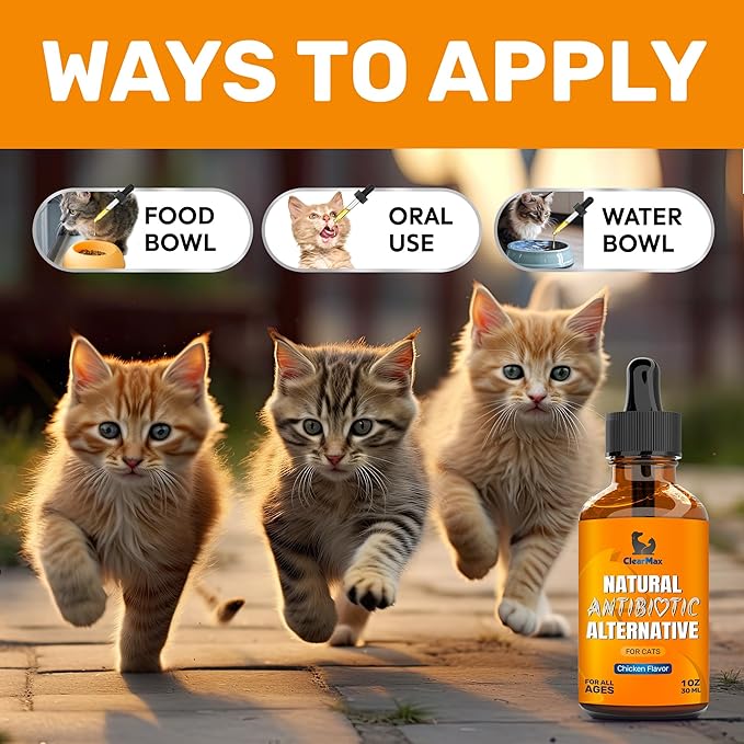 Cat Antibiotic to Help with Cough & Allergies – Antibiotics for Cats to Aid with UTIs and Digestive Moments – HIPS & Joints Support – Attractive Chicken Taste – 1 Oz Bottle